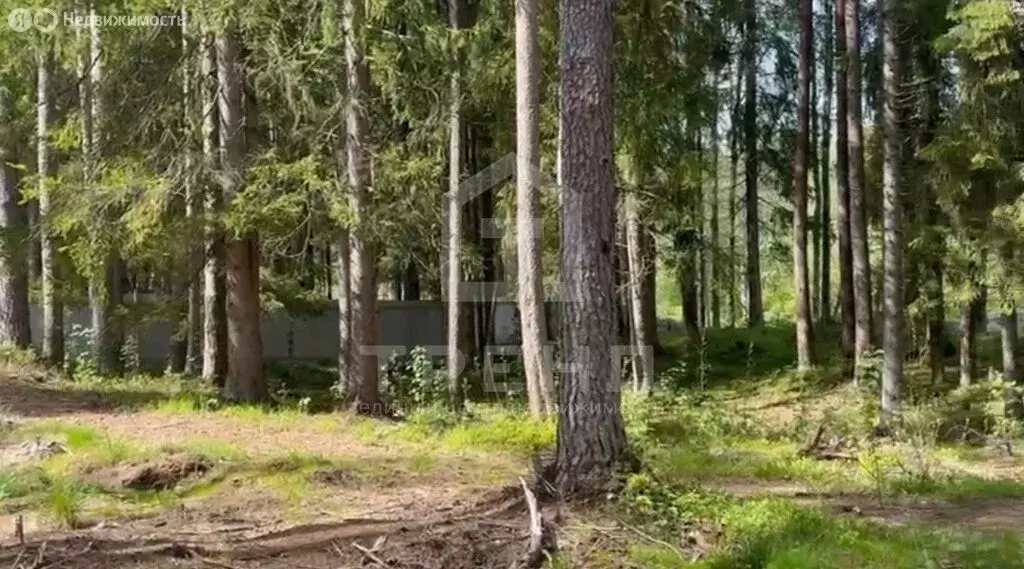 Участок в Выборгский район, Первомайское сельское поселение, КП ... - Фото 1