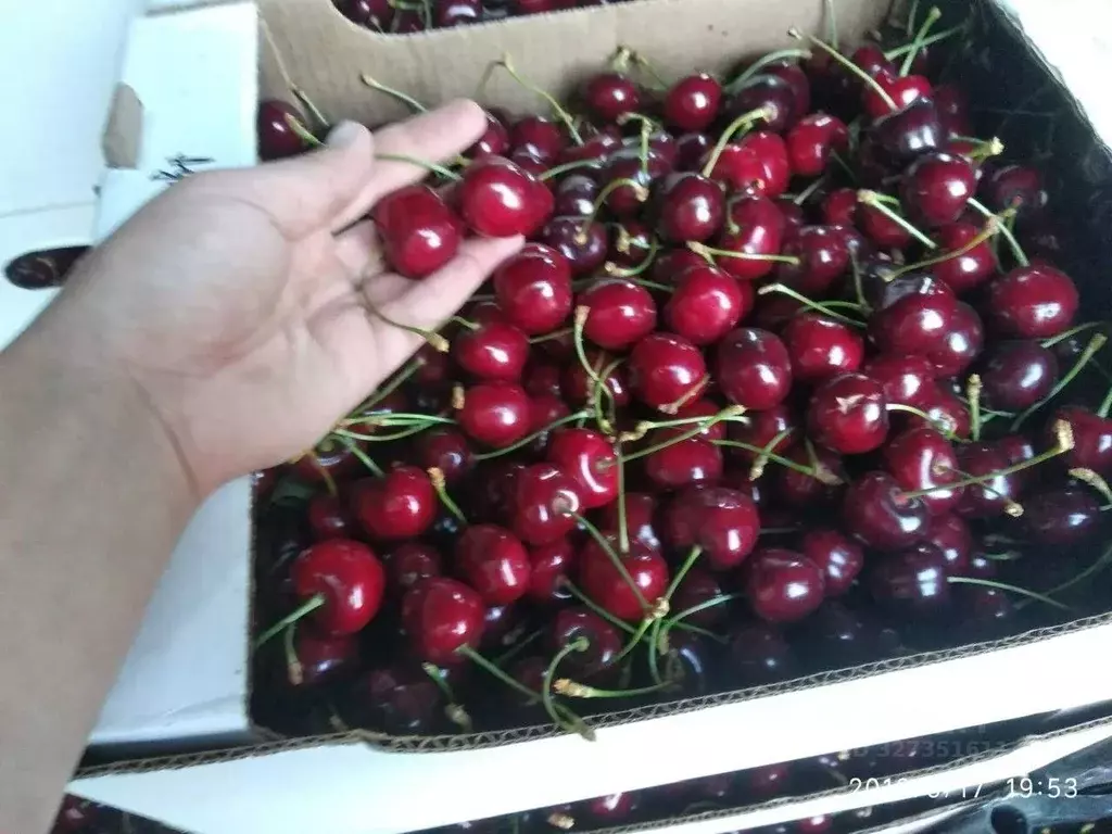 Участок в Крым, Бахчисарайский район, Ароматненское с/пос, с. ... - Фото 1