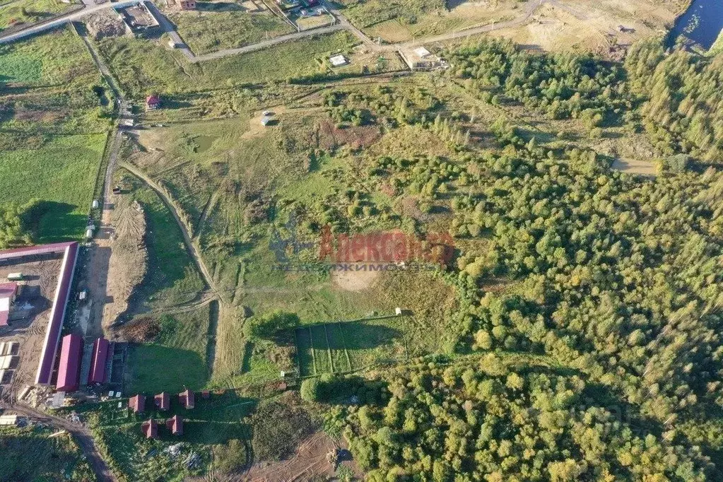 Участок в Ленинградская область, Всеволожский район, Лесколовское ... - Фото 0