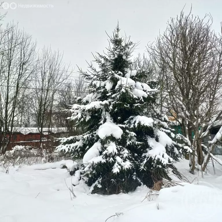 Дом в Санкт-Петербург, садоводческое некоммерческое товарищество ... - Фото 2