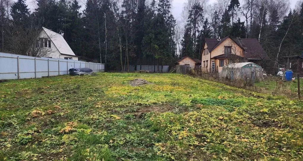 Участок в Московская область, Щелково городской округ, Заозерный СНТ ... - Фото 2