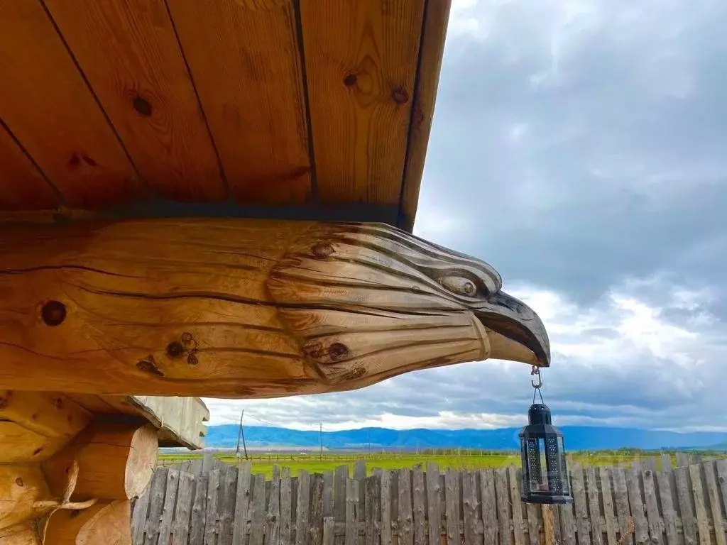 Участок в Алтайский край, Смоленский район, с. Сычевка  (250.0 сот.) - Фото 2