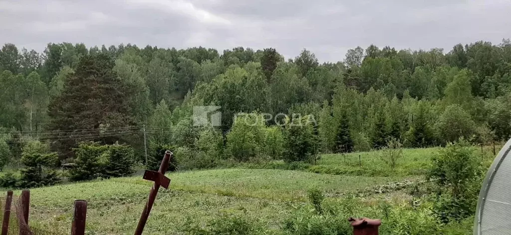 Участок в Новосибирская область, Искитимский район, Морозовский ... - Фото 0