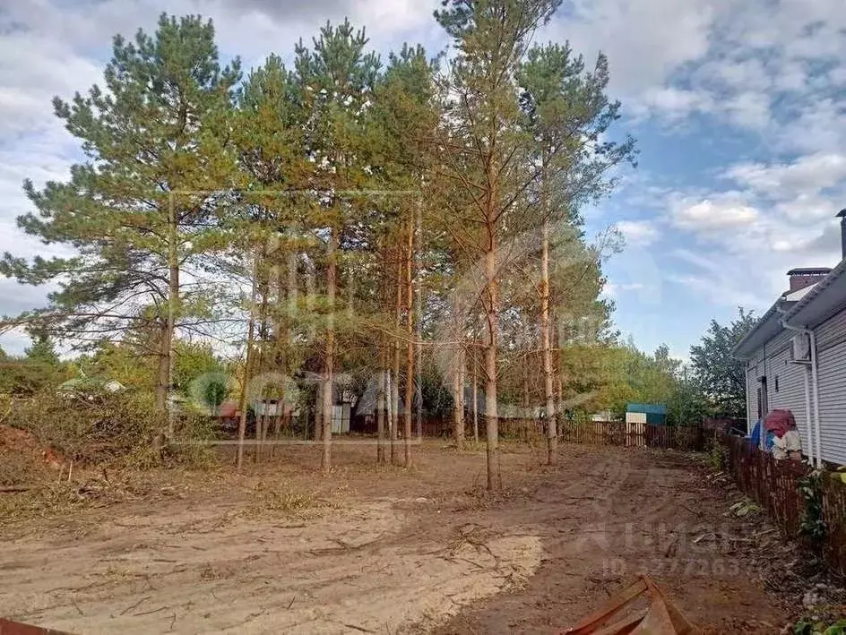 Участок в Воронежская область, Рамонский район, Айдаровское с/пос, ... - Фото 1