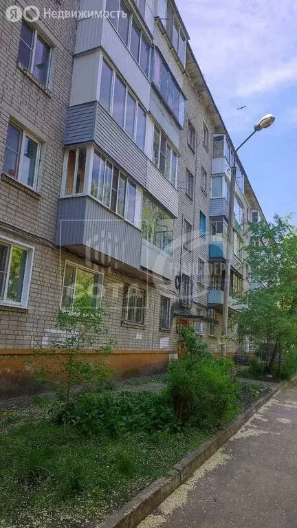 1-комнатная квартира: Воронеж, Волго-Донская улица, 6 (30.6 м) - Фото 0