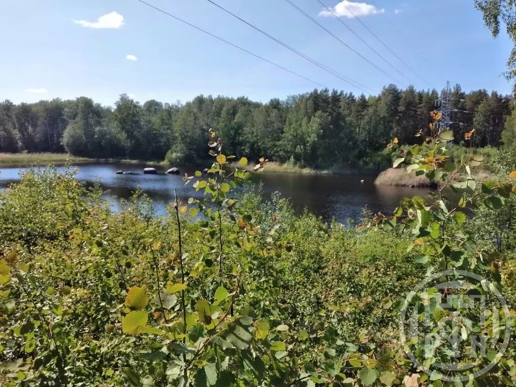 Участок в Ленинградская область, Приозерский район, Ромашкинское ... - Фото 2
