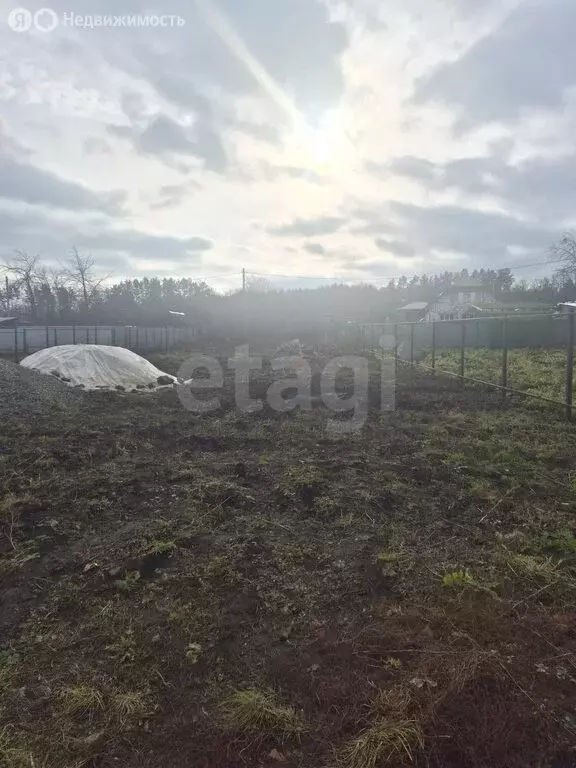 Участок в Саранск, СНТ Зелёная Роща-2 (539 м) - Фото 1