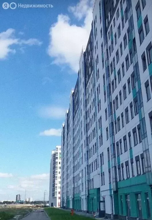 Квартира-студия: посёлок Шушары, Старорусский проспект, 1 (27.3 м) - Фото 2