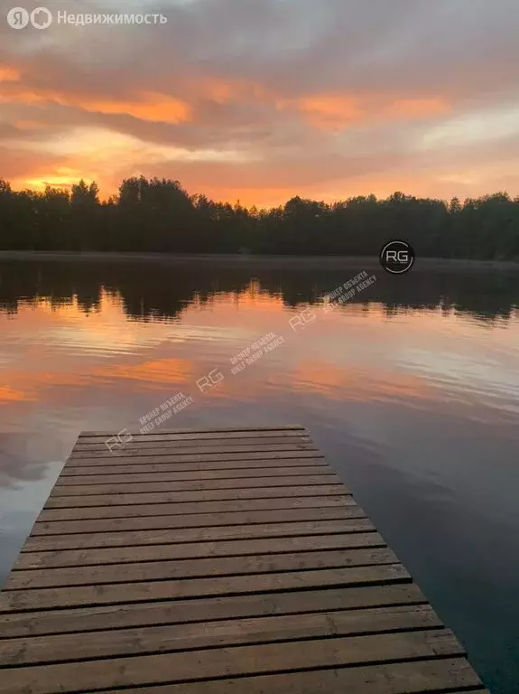 Дом в Любанское городское поселение, деревня Костуя, Центральная ... - Фото 1