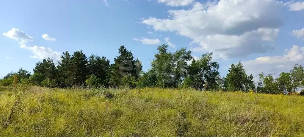 Участок в Оренбургская область, Оренбургский район, ... - Фото 1