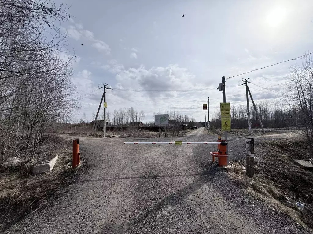 Участок в Ленинградская область, Кировский район, Синявинское ... - Фото 1