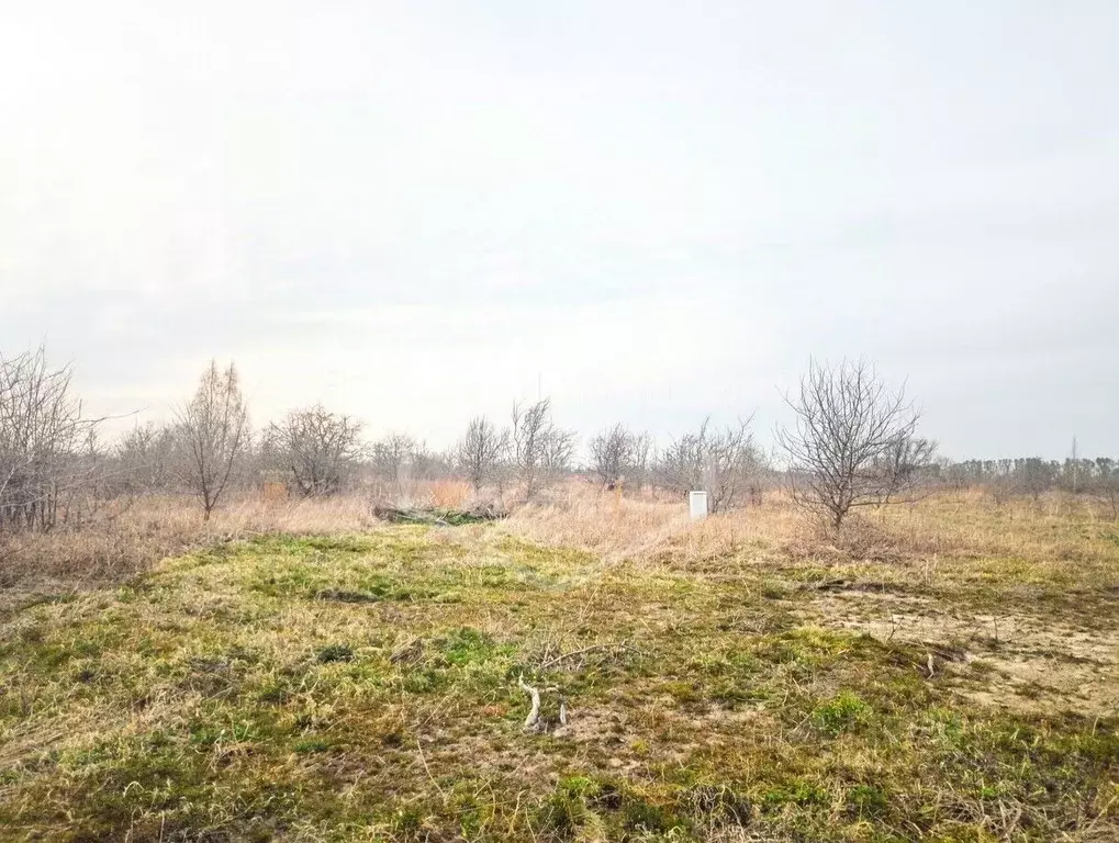 Участок в Калининградская область, Зеленоградск ул. Ботаническая, 26 ... - Фото 1