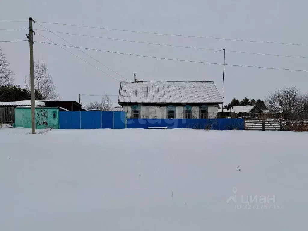 Дом в Амурская область, Серышевский муниципальный округ, с. Паруновка ... - Фото 1