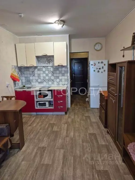 Студия Новосибирская область, Новосибирск Ударная ул., 25/1 (23.0 м) - Фото 0