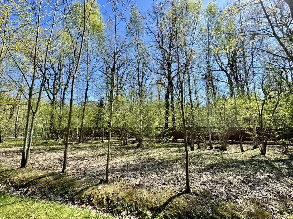 Участок в Московская область, Мытищи городской округ, пос. ... - Фото 2