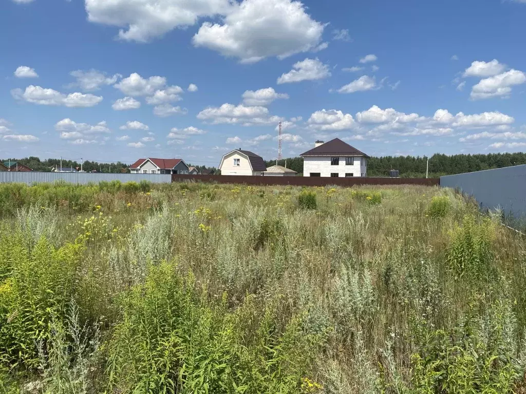 Участок в Владимирская область, Киржачский муниципальный округ, с. ... - Фото 2
