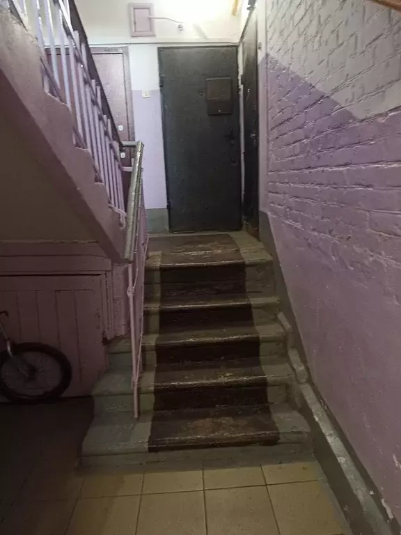 2-к кв. Московская область, Дрезна Орехово-Зуевский городской округ, ... - Фото 2