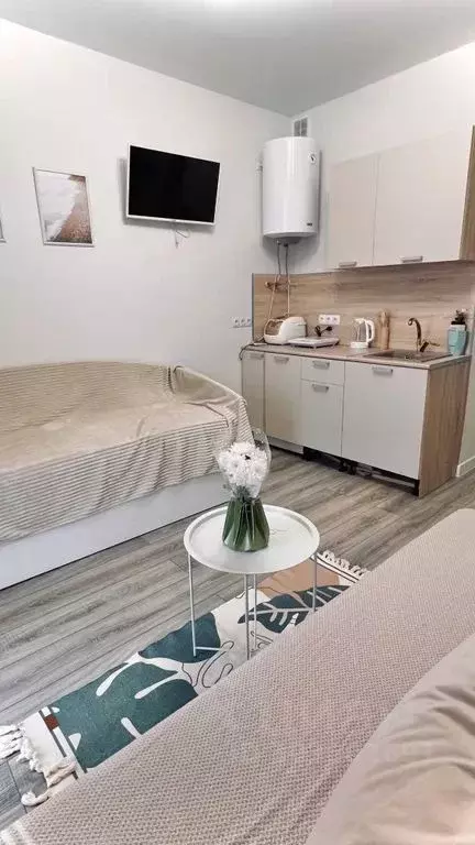 Студия Краснодарский край, Анапа муниципальный округ, с. Сукко ул. ... - Фото 2