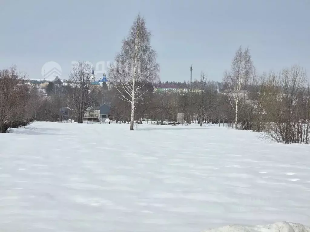 Участок в Чувашия, Чебоксарский муниципальный округ, с. Янгильдино  ... - Фото 1