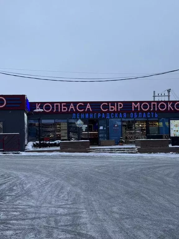 Участок в Ленинградская область, Ломоносовский район, Низинское с/пос, ... - Фото 2