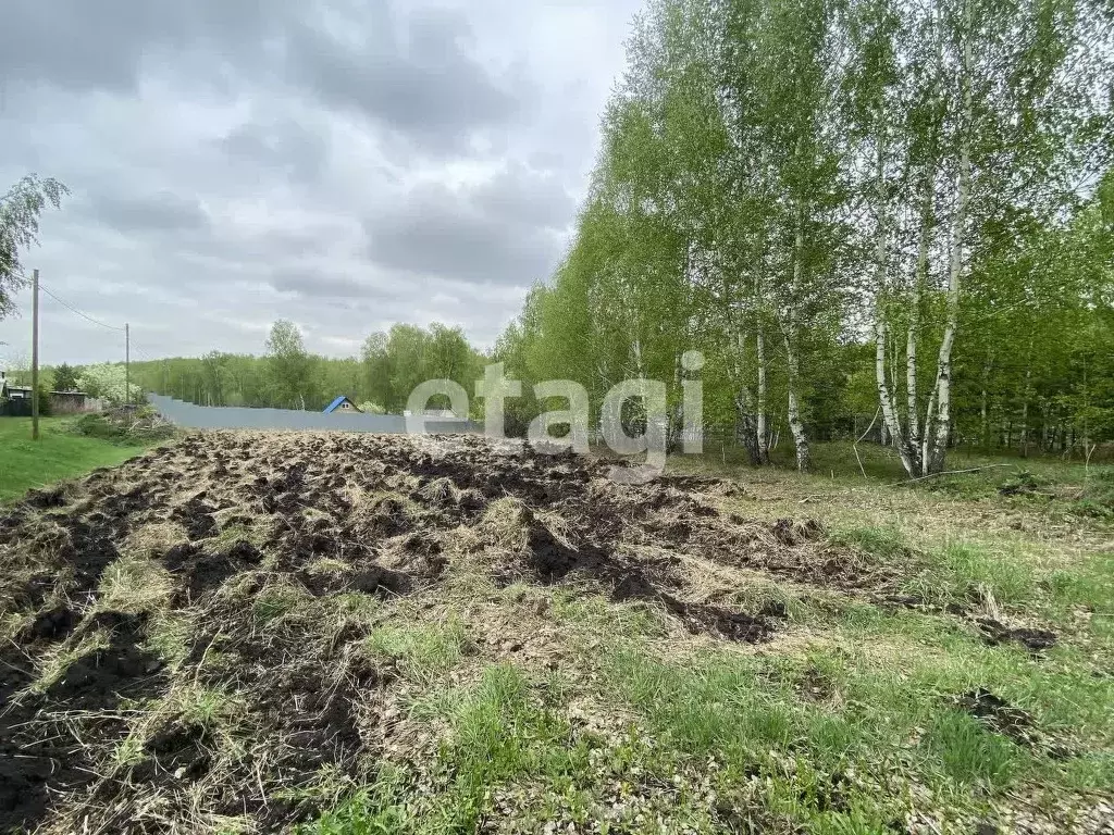 участок в красноярский край, красноярск дорожник снт, (17.2 сот.) - Фото 0