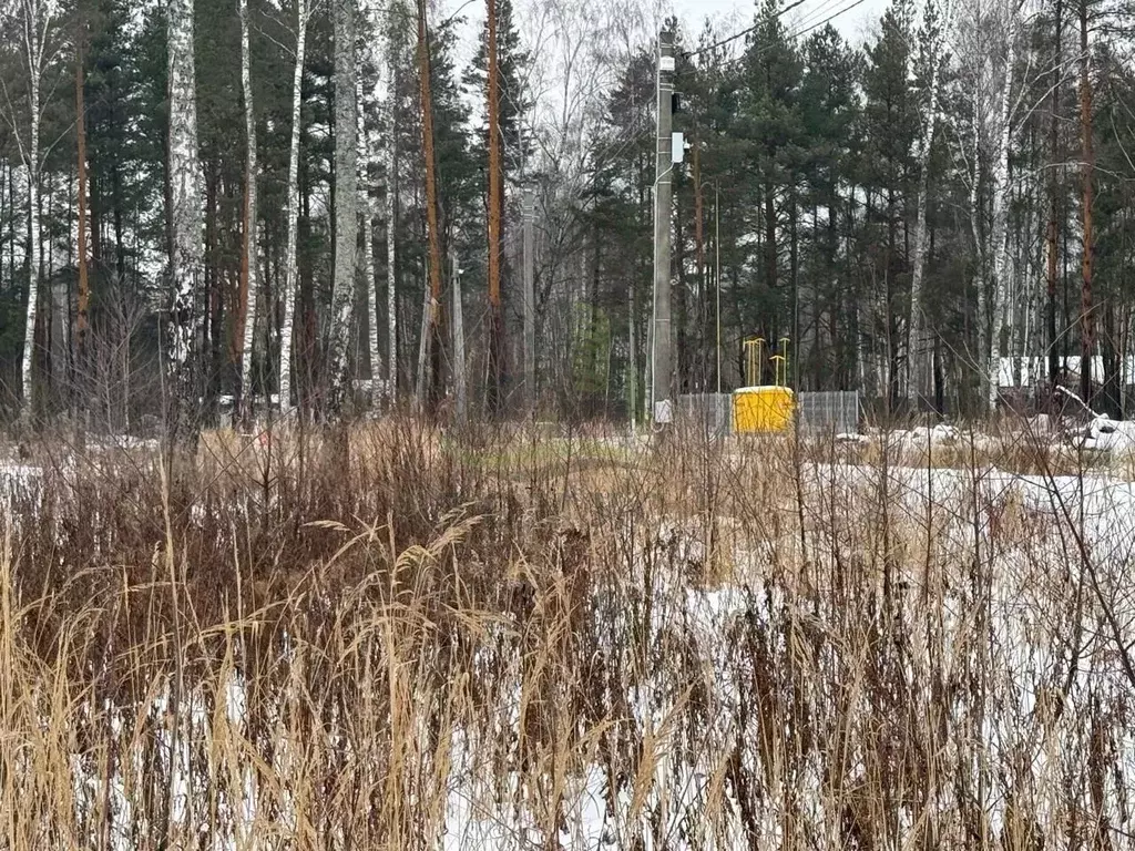 Участок в Московская область, Раменский городской округ, д. Фенино  ... - Фото 1