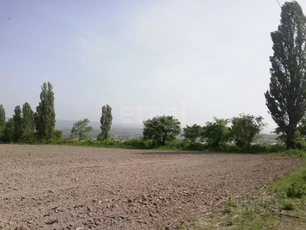 Участок в Краснодарский край, Новороссийск городской округ, ... - Фото 2