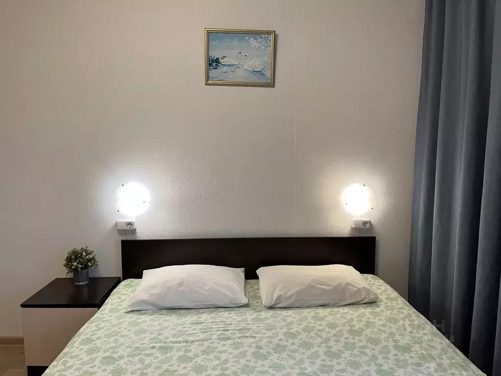 1-к кв. Санкт-Петербург просп. Косыгина, 17к1 (30.0 м) - Фото 1