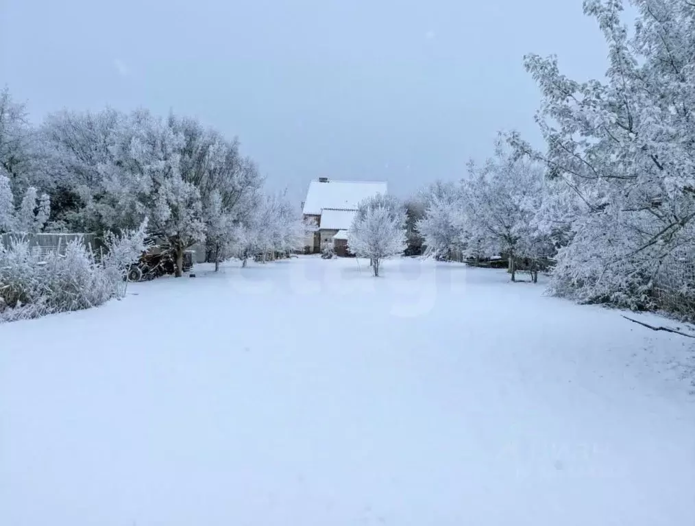 Участок в Воронежская область, Семилуки Южный мкр, ул. Васильковая ... - Фото 1