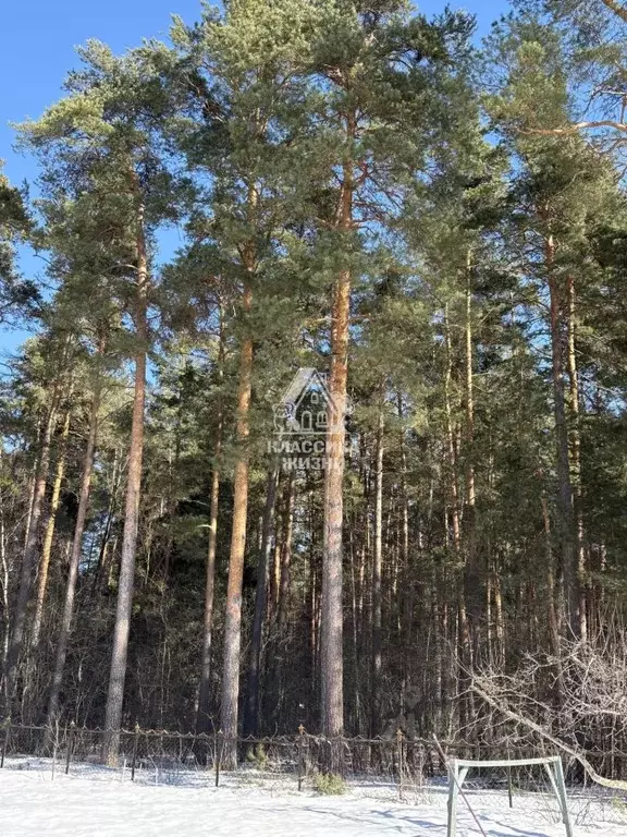 Дом в Нижегородская область, Городецкий муниципальный округ, ... - Фото 1