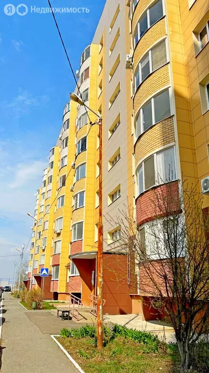 1-комнатная квартира: село Осиново, Садовая улица, 5 (29.5 м) - Фото 0