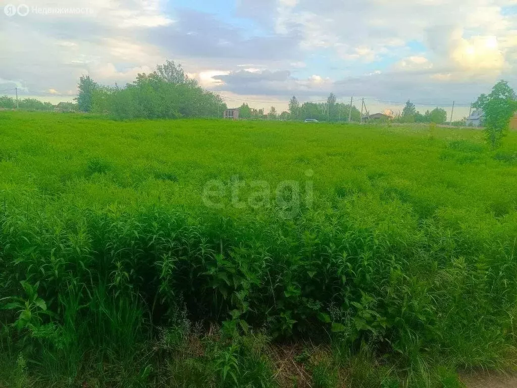 Участок в Тульская область, городской округ Тула, село Тёплое, 2-й ... - Фото 1