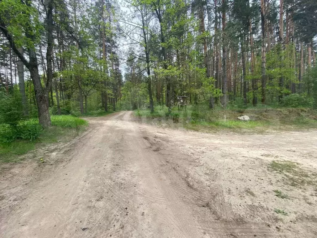 Участок 5 сот. (СНТ, ДНП) - Фото 1