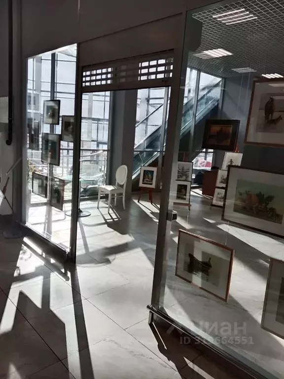 Помещение свободного назначения в Ленинградская область, Тельмана ... - Фото 0