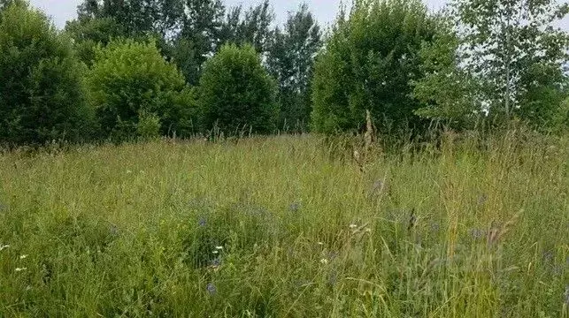 Участок в Московская область, Щелково городской округ, д. Глазуны  ... - Фото 1