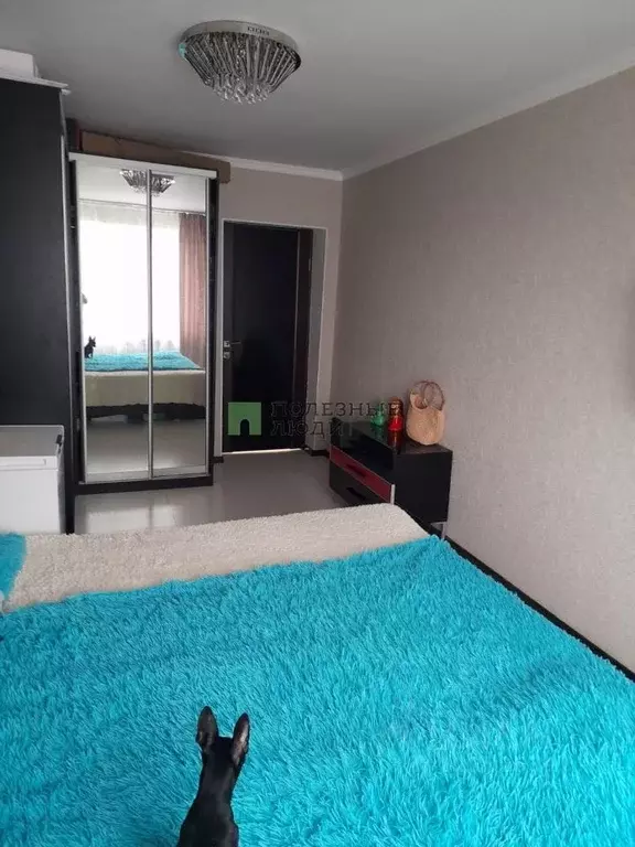 2-к кв. Краснодарский край, Новороссийск ул. Алексеева, 29 (48.0 м) - Фото 1