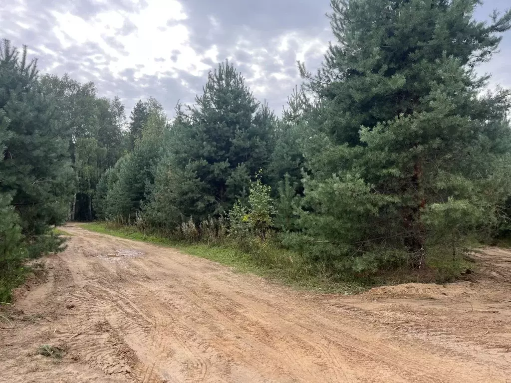 Участок в Нижегородская область, Городецкий муниципальный округ, д. ... - Фото 2