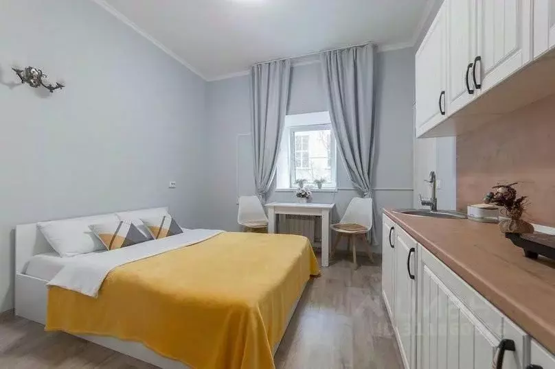 1-к кв. Санкт-Петербург наб. Реки Фонтанки, 38 (15.0 м) - Фото 1