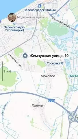Участок в Калининградская область, Зеленоградск пос. Клинцовка,  (11.2 ... - Фото 1