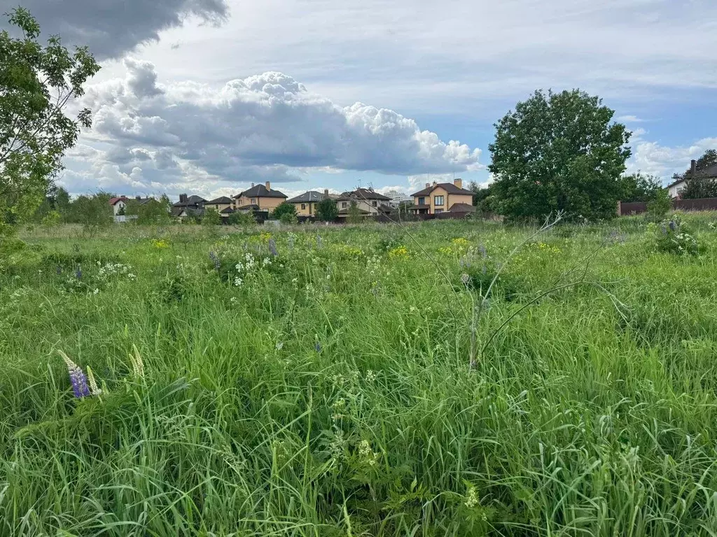 Участок в Московская область, Богородский городской округ, д. ... - Фото 0