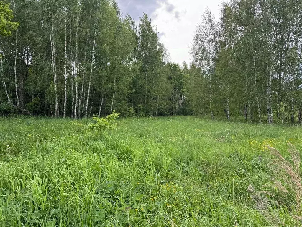 Участок в Московская область, Богородский городской округ, д. ... - Фото 0