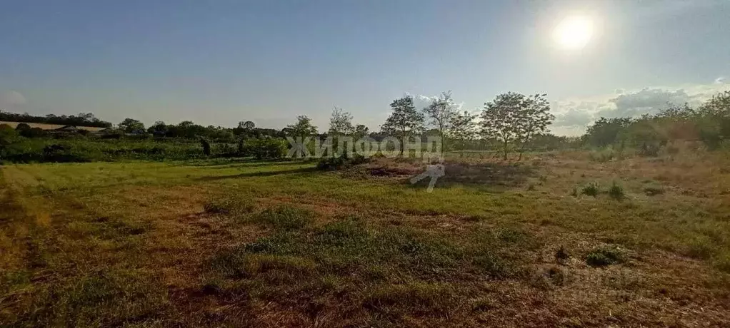 Участок в Краснодарский край, Кореновский район, Журавская ст-ца ... - Фото 1