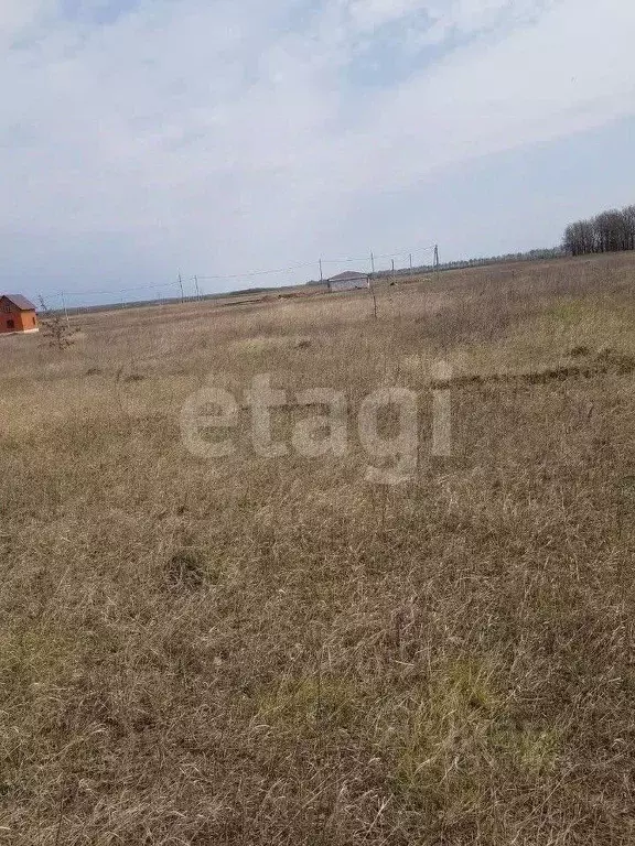 Участок в Липецкая область, Чаплыгин ул. Отрадная (10.0 сот.) - Фото 2