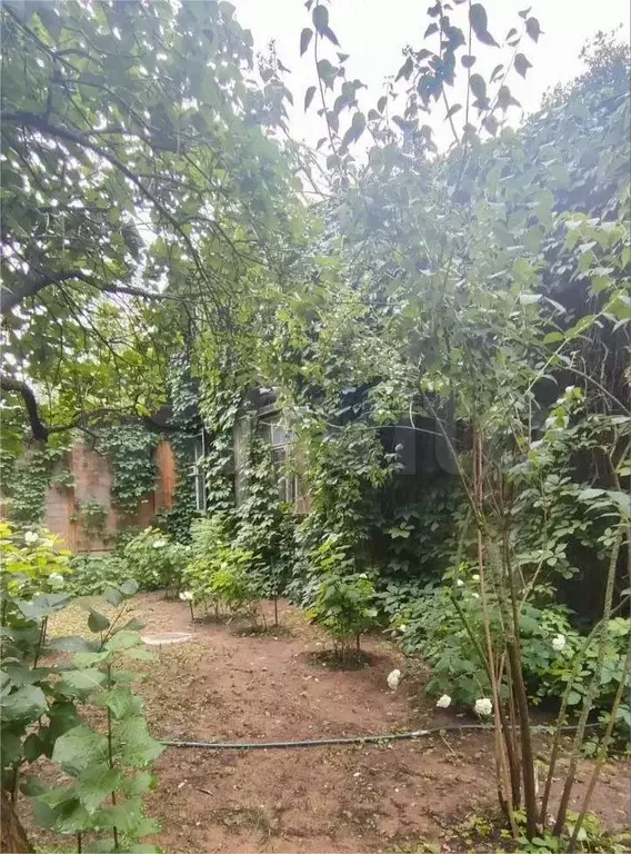 Дом 32 м на участке 20 сот. - Фото 0