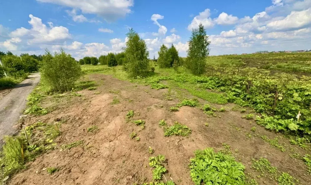 Участок в Москва д. Ширяево, аллея Березовая, 25 (12.0 сот.) - Фото 2