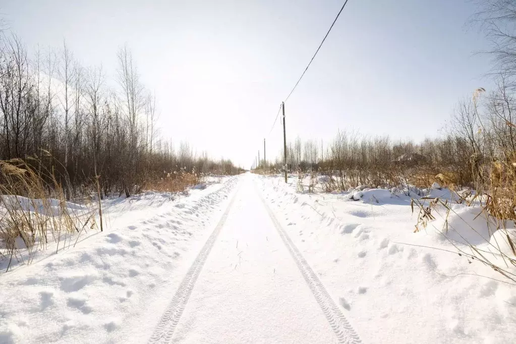 Участок в Тюменская область, Тюмень Большое Царево-1 СНТ,  (10.0 сот.) - Фото 1