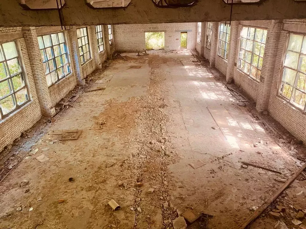Склад в Ульяновская область, Радищево рп ул. Чкалова, 92 (1022 м) - Фото 2