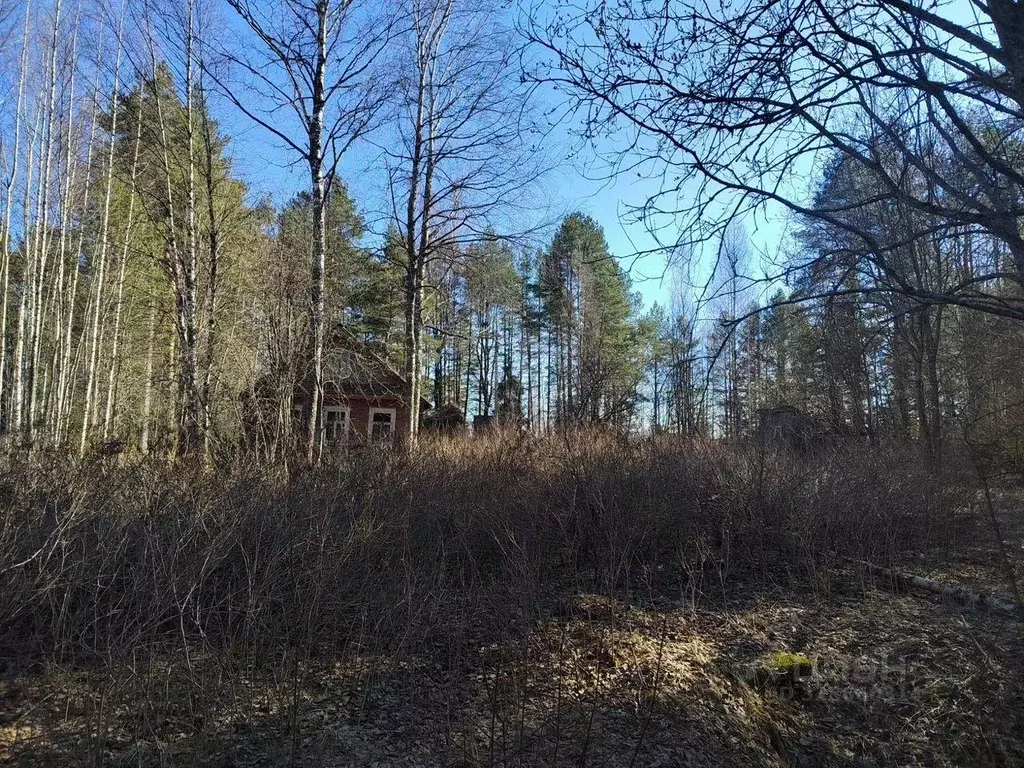 Участок, 30 сот., поселения (ижс) - Фото 2