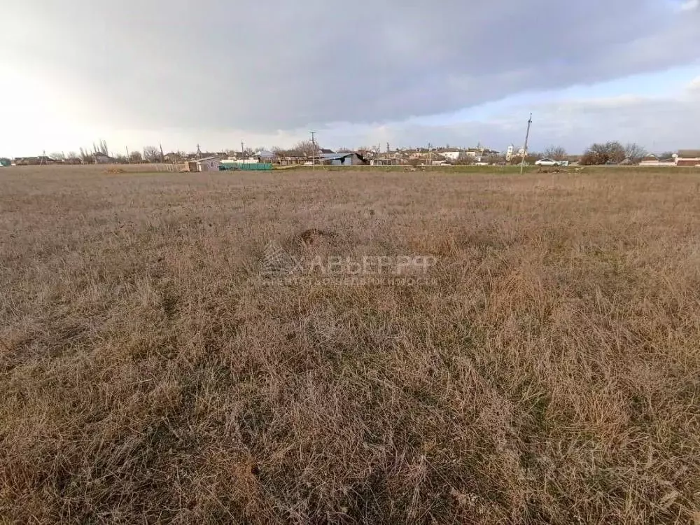 Погода в митяево крым сакский. Саки село Митяево Проненко.