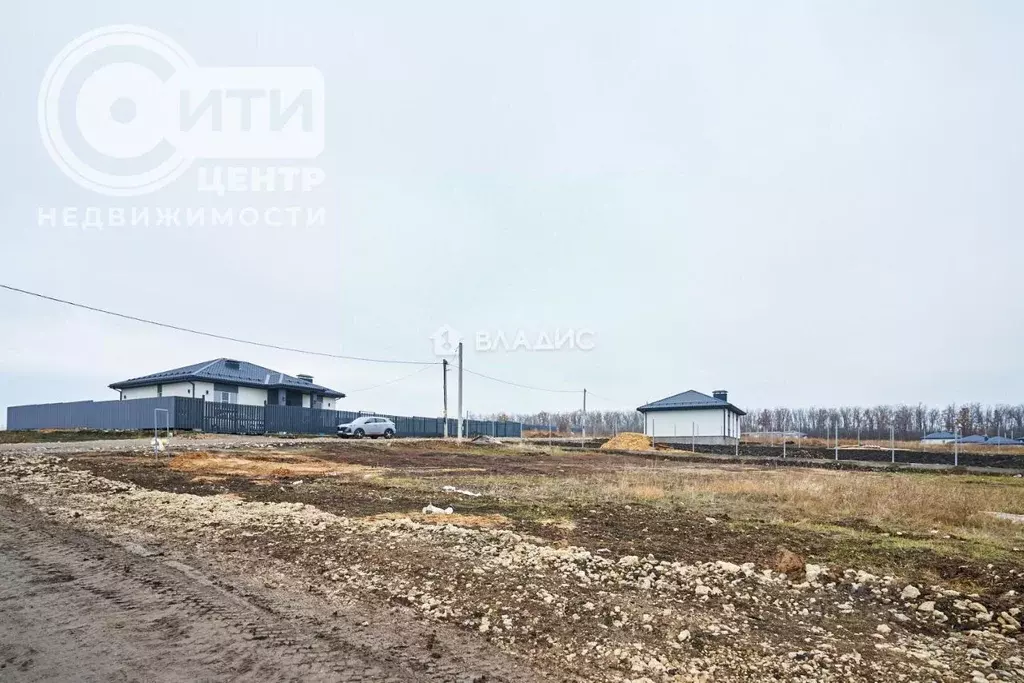 Участок в Воронежская область, Хохольский район, с. Новогремяченское ... - Фото 1